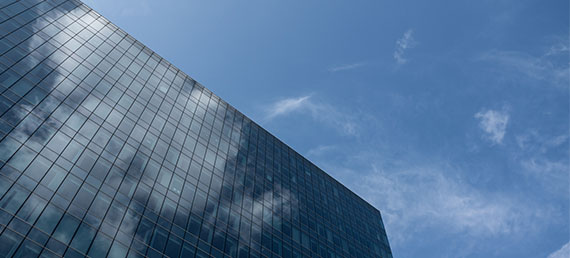 Professional Services Company